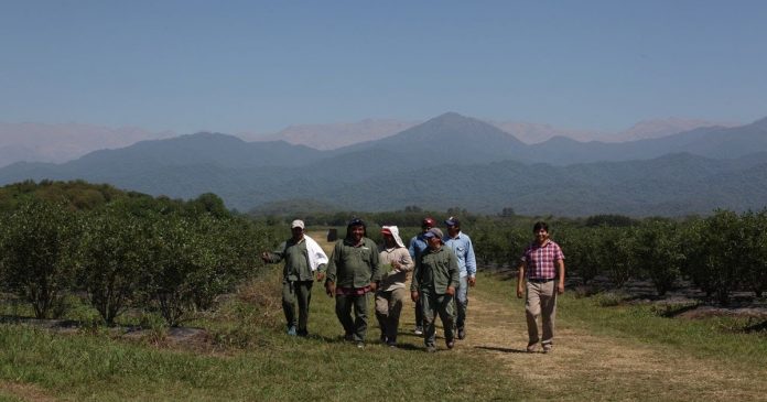 UATRE exige recomposición salarial: los rurales, siempre los que ponen el lomo