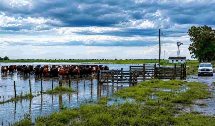 El INTA alerta: cómo proteger el campo ante las lluvias del Niño