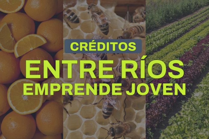 Créditos para jóvenes emprendedores: Entre Ríos abre nueva convocatoria