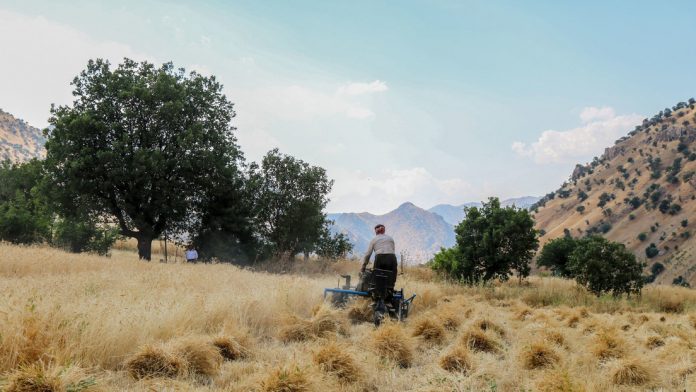 El Súper Niño y la guerra en Oriente Medio: tormenta perfecta para los alimentos