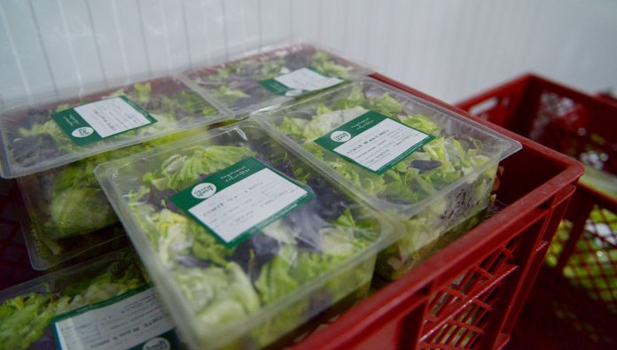 Menos trámites para exportar productos de origen animal