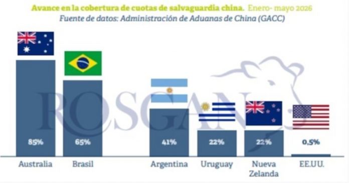 Carne argentina a China: la oportunidad que puede llegar en el segundo semestre