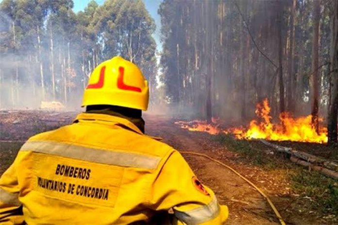 Seis meses sin cobrar: el reclamo por la salud de los bomberos entrerrianos