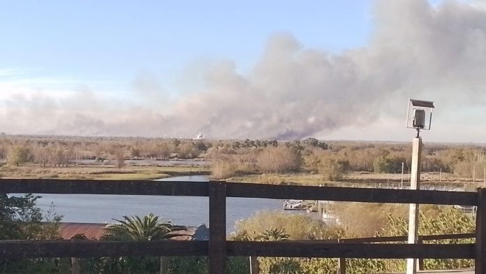 Brigadistas entrerrianos en el Delta: fuego e investigación por quemas intencionales