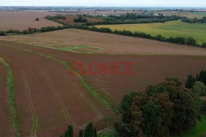 UCR frena la Ley de Tierras: el Senado postergó el debate para agosto