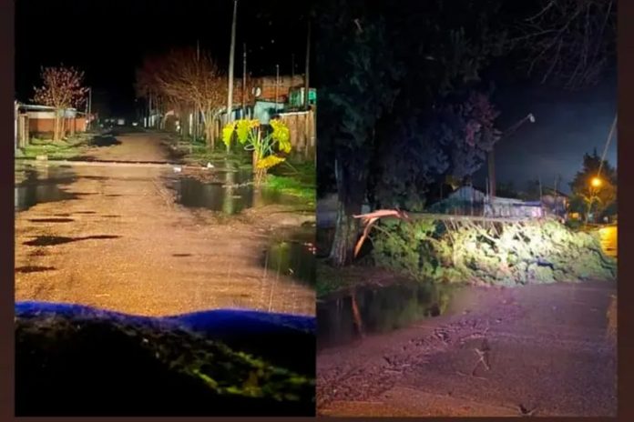 Temporal en Federal y Colón: techos volados, árboles caídos y daños en la Fiesta del Turista