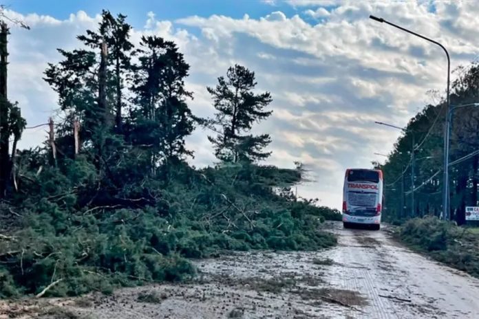 La tormenta que sacudió Concordia en plena madrugada