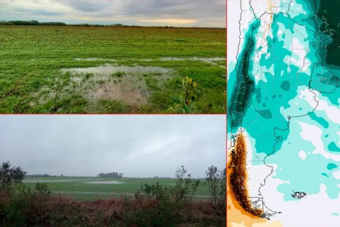 El Niño en marcha: agosto y septiembre traerían más lluvias en el Litoral