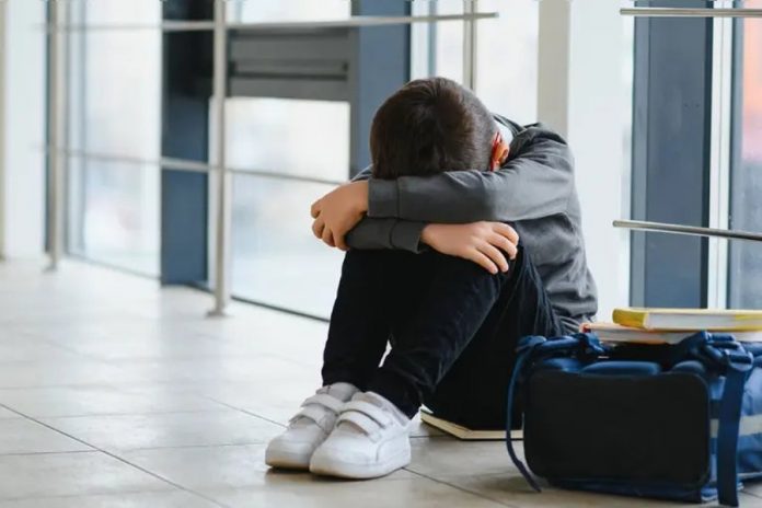 Santa Fe tiene ley contra la violencia digital en las escuelas: qué dice