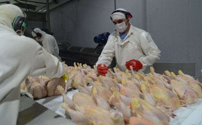Argentina vuelve a exportar carne aviar fresca a la Unión Europea