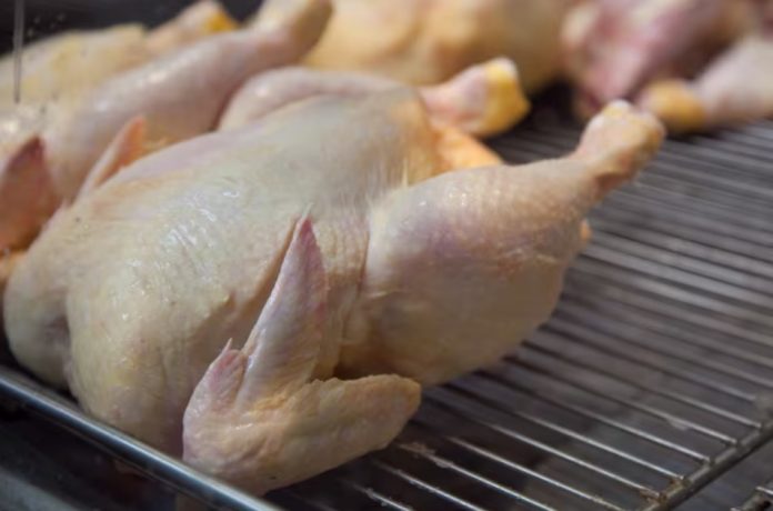 Pollos entrerrianos a Europa: contratos firmados y nuevos pedidos en puerta
