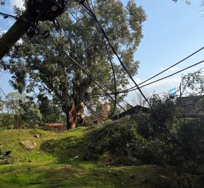 Un árbol cayó sobre su casa durante el temporal y mató a una mujer en Concordia