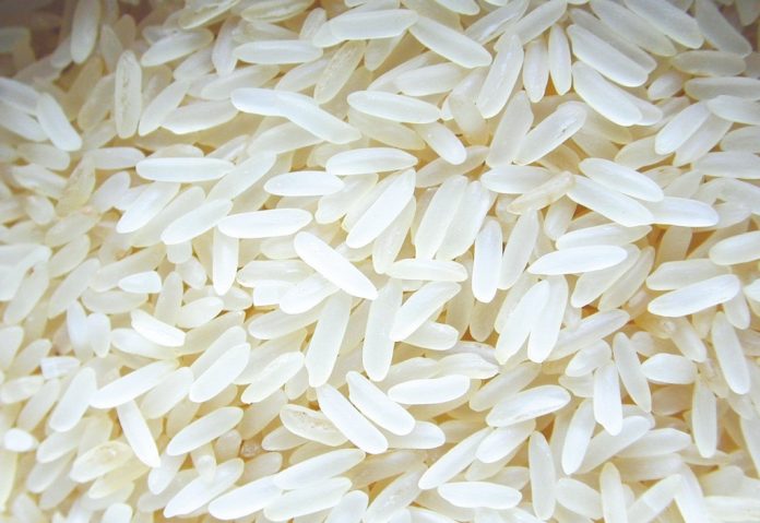 La producción de arroz cayó 14% en Argentina: Corrientes le ganó la pulseada a Entre Ríos
