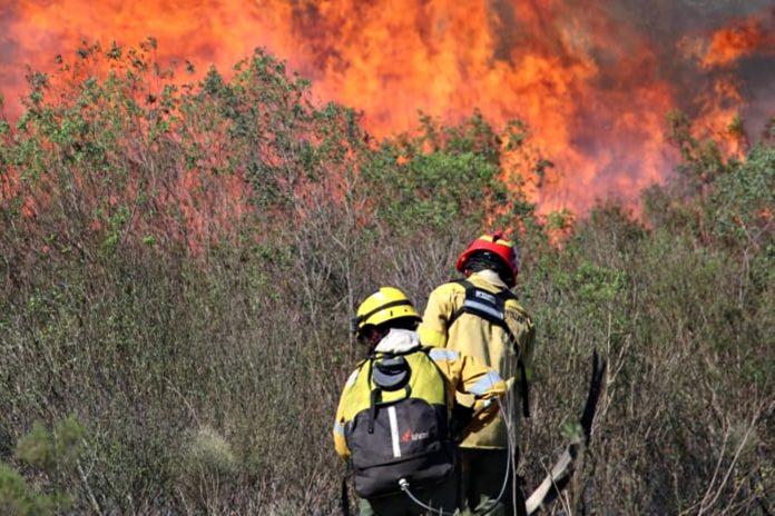 El Gobierno retiró los cambios a la Ley de Manejo del Fuego por falta de votos