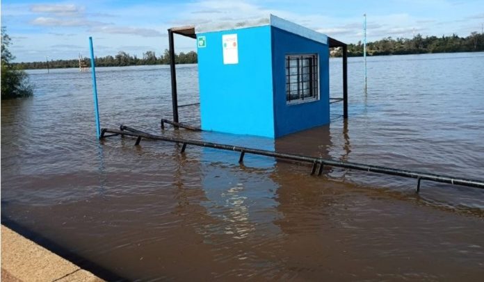 El río Uruguay tocó los 10,40 metros en Concordia y ya baja