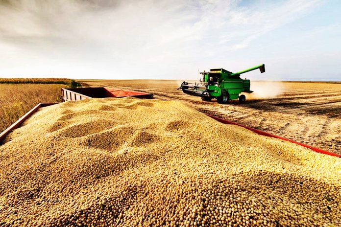 Entre Ríos rompe su propio récord: 10 millones de toneladas agrícolas en 2025/26
