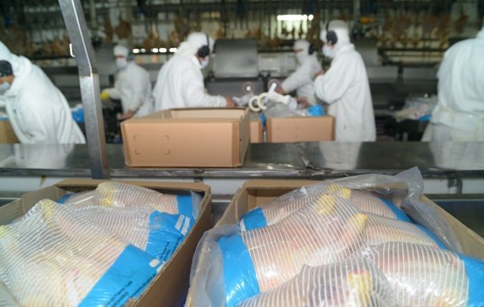Argentina vuelve a exportar carne aviar a Corea del Sur