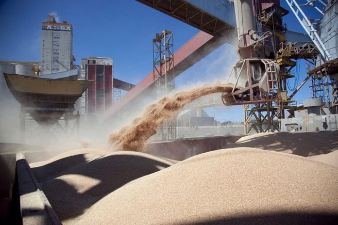 Exportar granos a China: abrieron el registro obligatorio hasta el 6 de septiembre