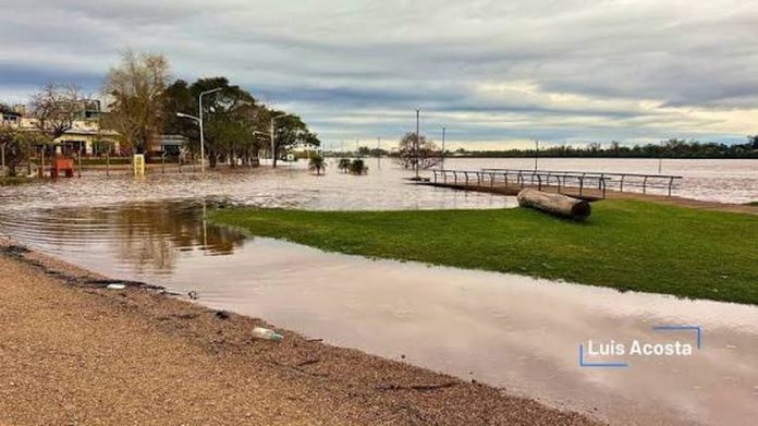 El río Uruguay vuelve a crecer este fin de semana: qué dice Salto Grande