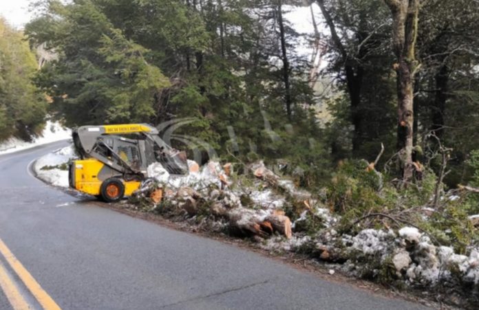 Vialidad Nacional activa operativo preventivo por El Niño en rutas del país