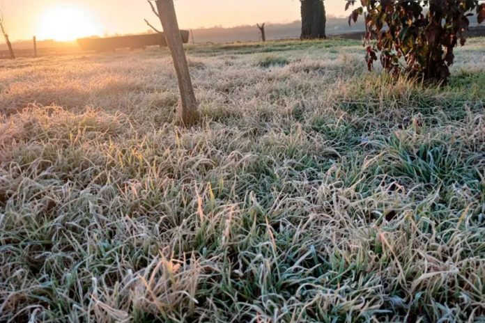 Alerta por frío extremo: heladas en Entre Ríos y el país