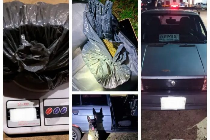 Un perro antinarcóticos olió lo que escondía el auto que iba a Mocoretá