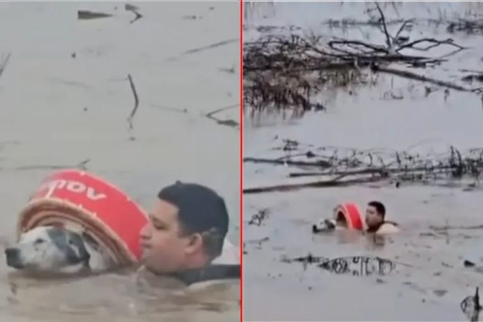 Se tiró al río para salvar a 'Manchitas': el rescate que emocionó en Colón