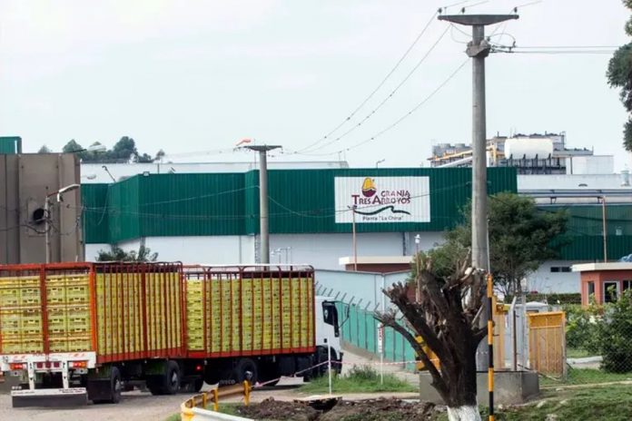 Tres Arroyos al límite: vende activos en Entre Ríos para evitar la quiebra