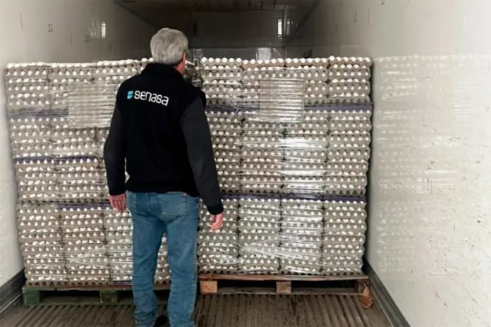 Senasa decomisó más de 308.000 huevos que iban a Paraná sin permiso