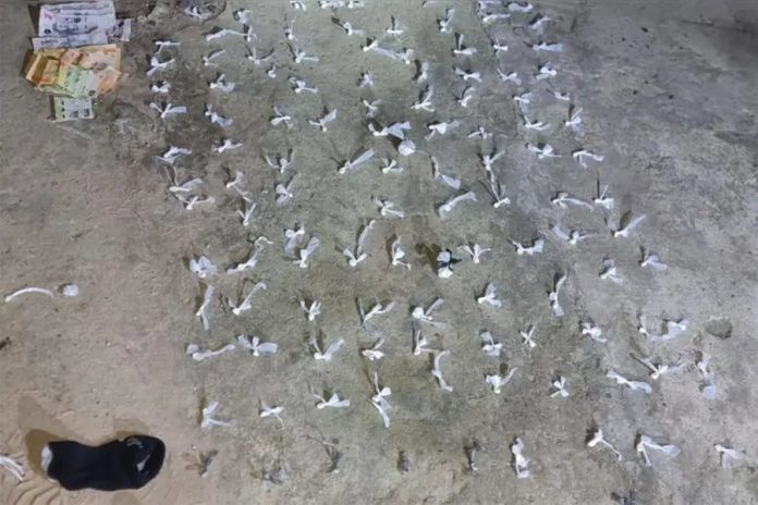 Operativo en Concordia: 126 envoltorios de cocaína y un detenido
