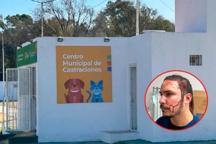 Golpearon a un veterinario tras la muerte de una perra en una cirugía