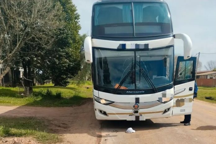 Peatón muerto en Villaguay: el colectivero tenía 1,47 g/l de alcohol