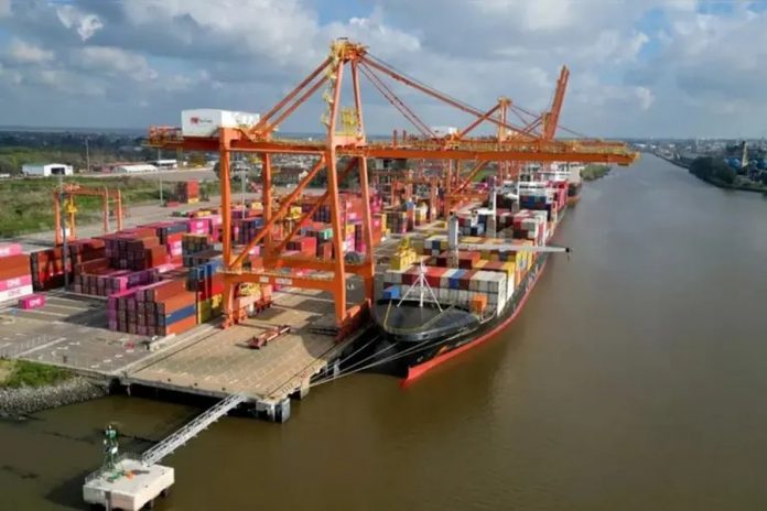 Las exportaciones a la UE crecieron 19% y superaron los USD 5.191 millones
