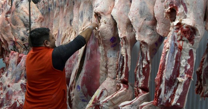 La carne argentina exportó 42% más en valor en los primeros 7 meses