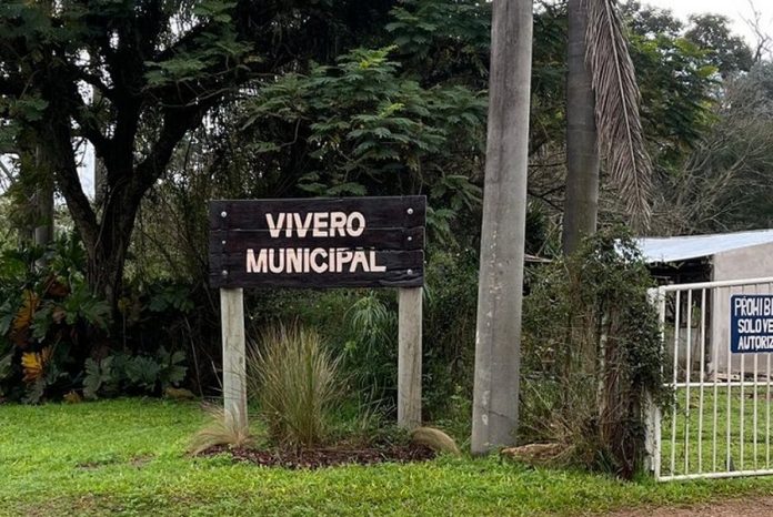 La licitación de plantas en Concordia pone en duda al Vivero Municipal