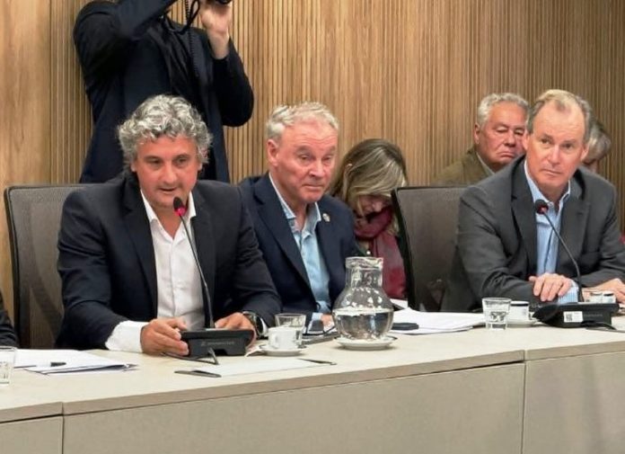Federación: Bravo gestionó financiamiento para defender la costa del lago