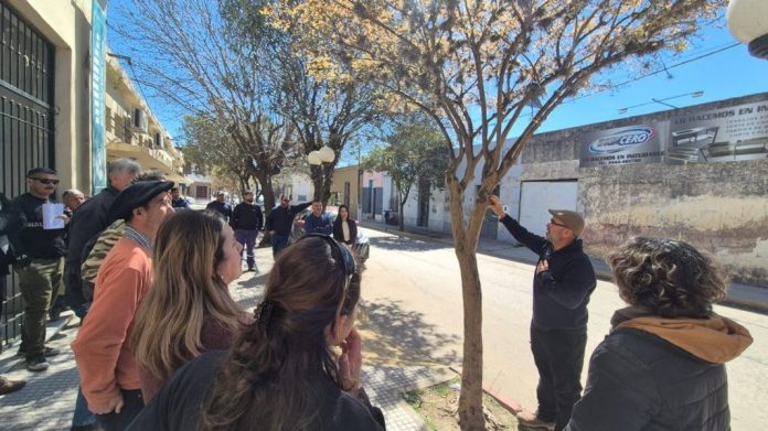 Enersa y municipios se capacitan en poda urbana y redes eléctricas