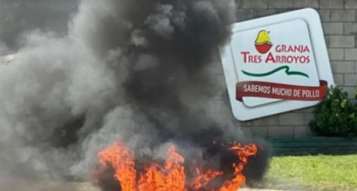 Granja Tres Arroyos: embargos, quiebras y deuda de u$s350 millones