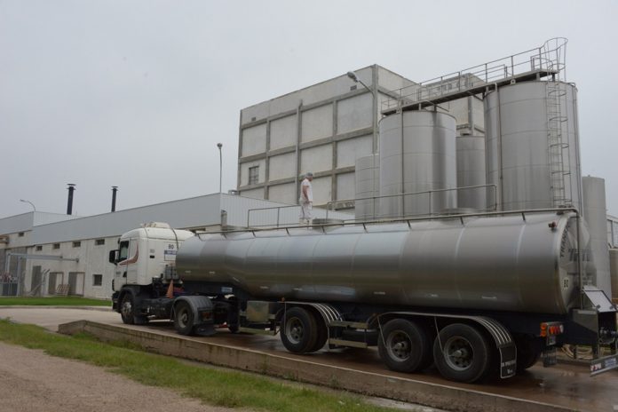 Récord histórico: Argentina exportó 1.835 millones de litros de leche
