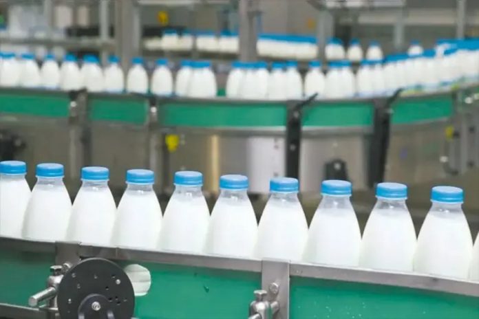 Lácteos: la producción creció 4,9%, pero los tambos chicos siguen en rojo
