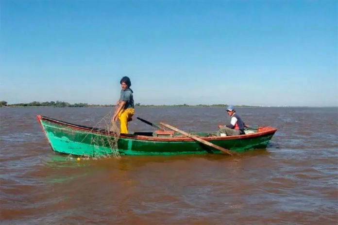Vigilancia en el río Uruguay: buscan proteger especies nativas en Concordia