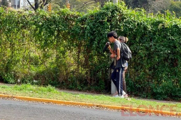 Paraná: sensación de 33°C, la antesala de la ciclogénesis