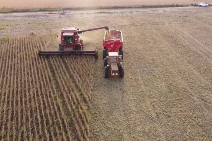 El Niño podría sumar hasta US$ 4.000 millones a la cosecha argentina