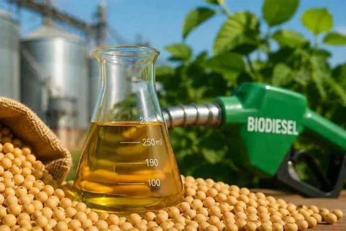 Nuevo precio del biodiesel para septiembre: más de $2 millones por tonelada