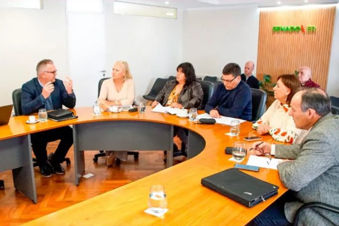 Obras Públicas: el Gobierno explicó en el Senado qué cambia con la nueva ley