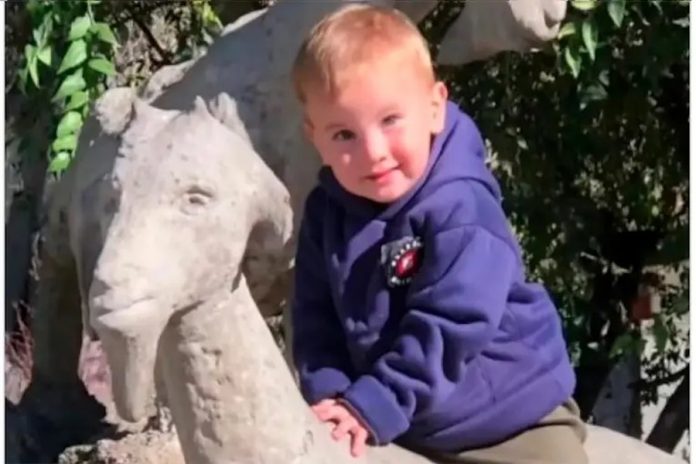 Murió Owen, el nene de 2 años atacado por un pitbull: el dueño, imputado