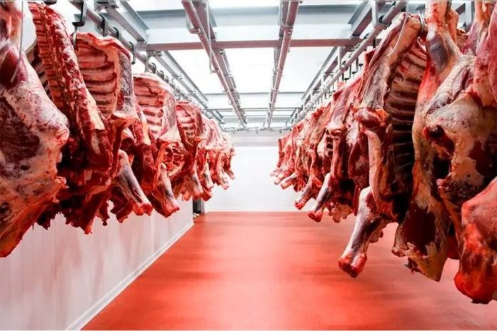 Carne importada: Argentina duplicaría compras en 2026 y marcaría récord en 2027