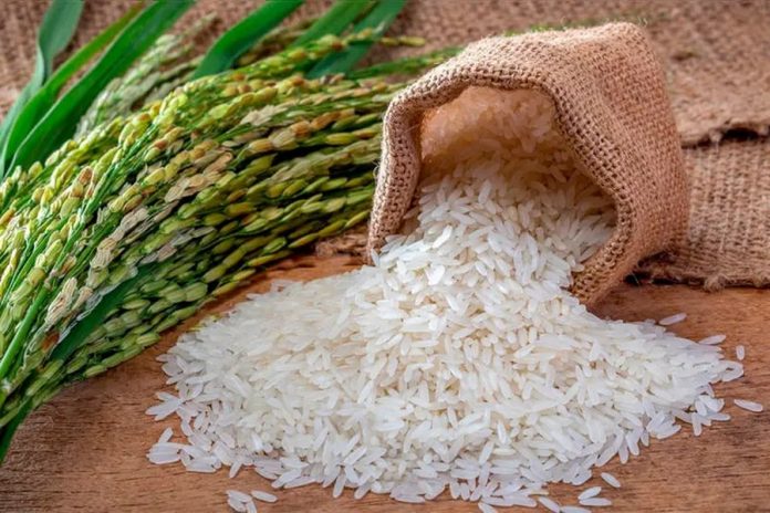 Entre Ríos lanza el sello 'Arroz Entrerriano': qué exigen a los productores