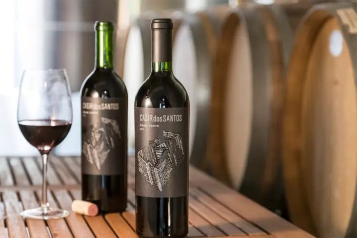 Viña Maipú, bodega de 1862, pidió concurso por $384 millones