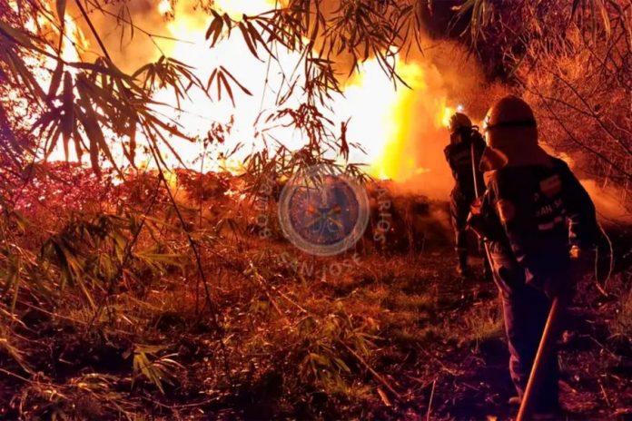 Nueve horas de fuego: el incendio en un depósito de madera que movilizó a tres cuarteles